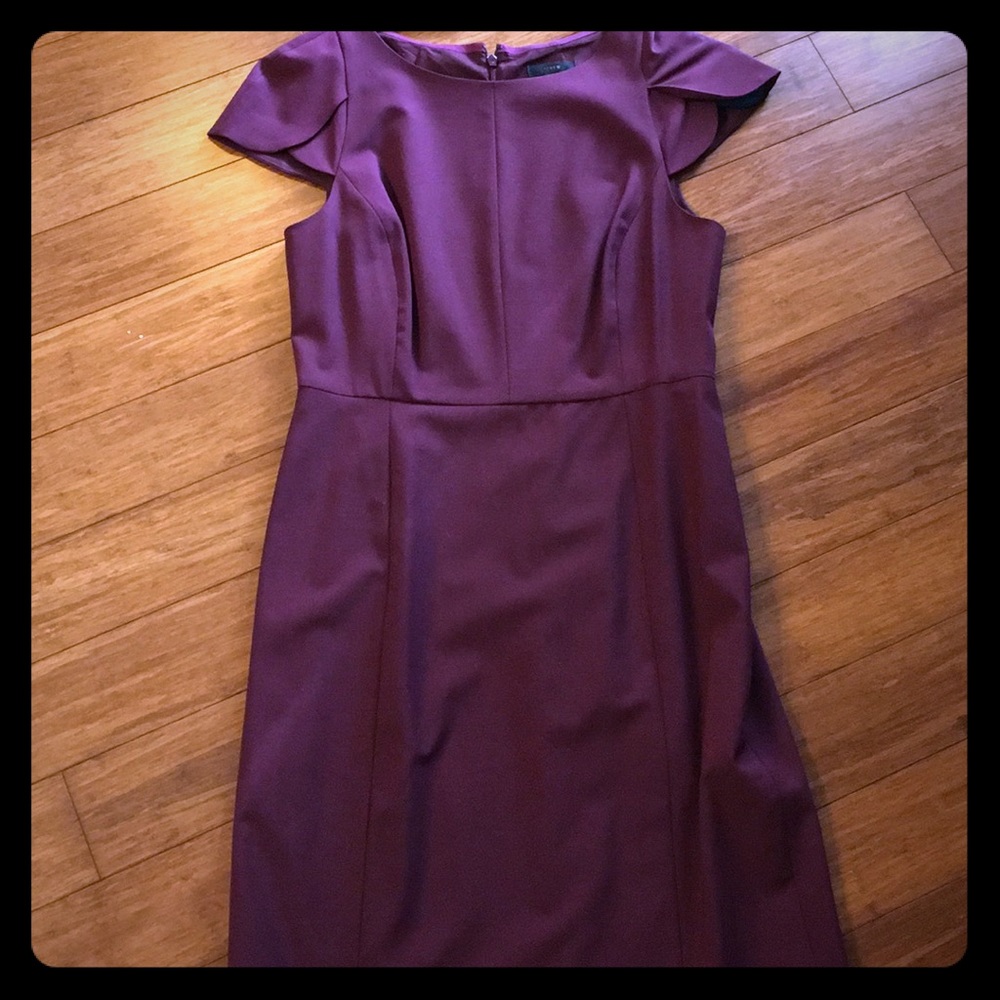 Beautiful Jcrew 10 petal sleeves dress
